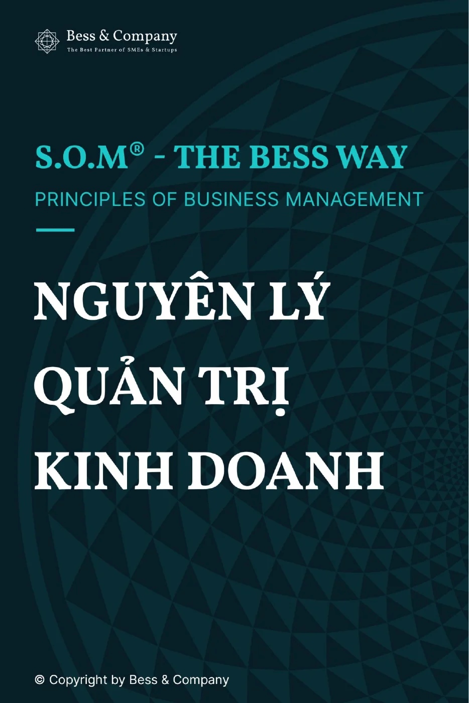 Bìa ebook S.O.M® – THE BESS WAY: Nguyên lý Quản trị Kinh doanh